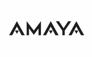 David Baazov se retire définitivement d'Amaya Gaming et cède sa place