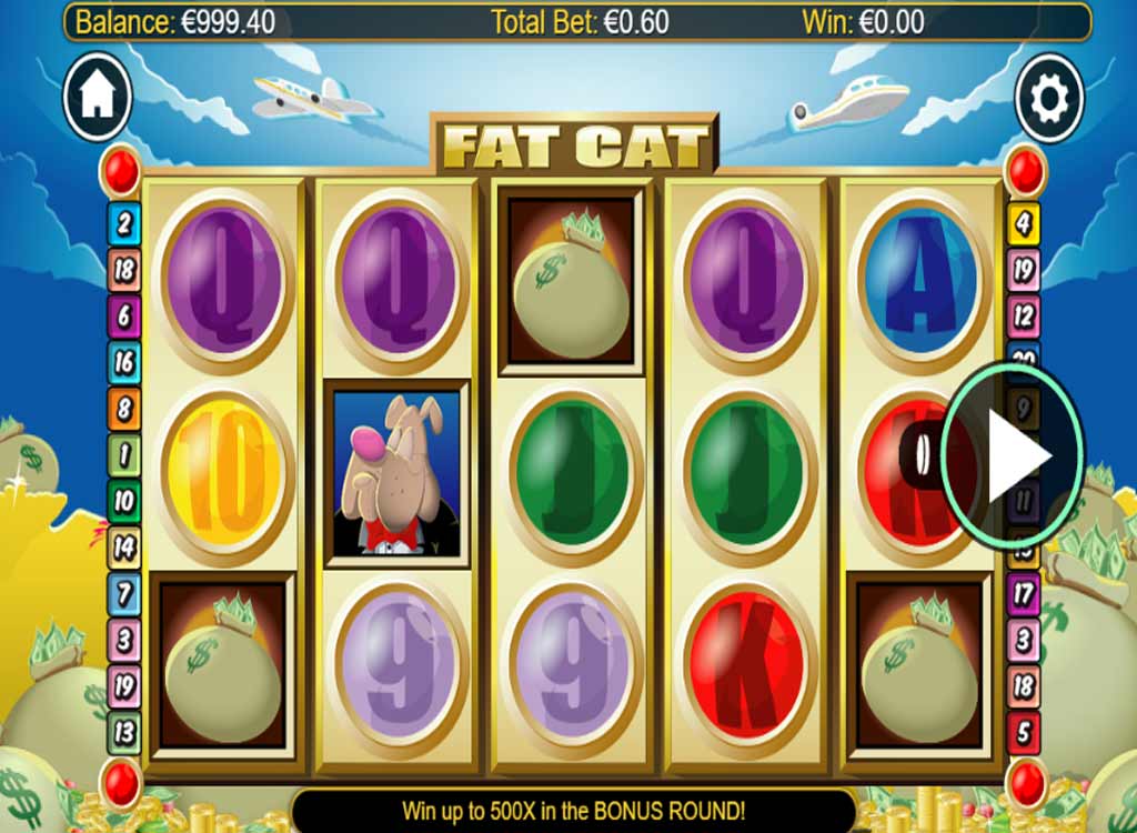 Jouer à Fat Cat