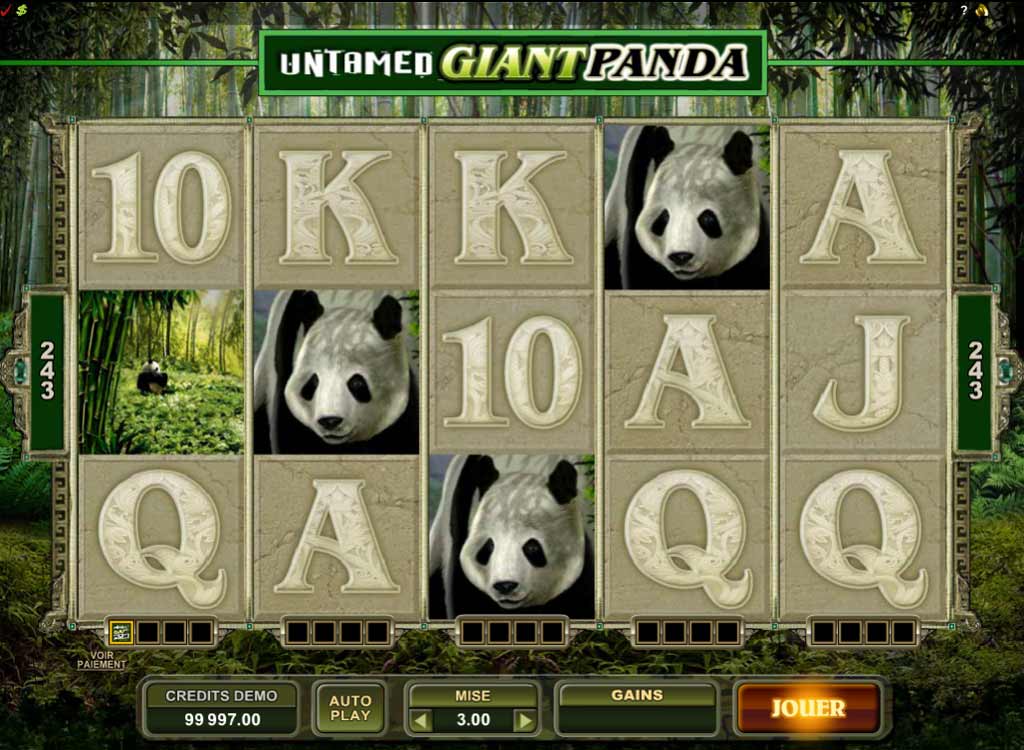 Jouer à Untamed Giant Panda