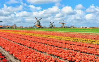 Pays-Bas : une nouvelle loi sur les jeux de hasard pour booster la croissance économique en 2021