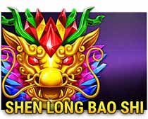 Shen Long Bao Shi