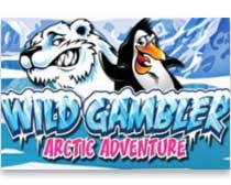 Wild Gambler Artic Adventure