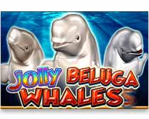 Jolly Beluga Whales