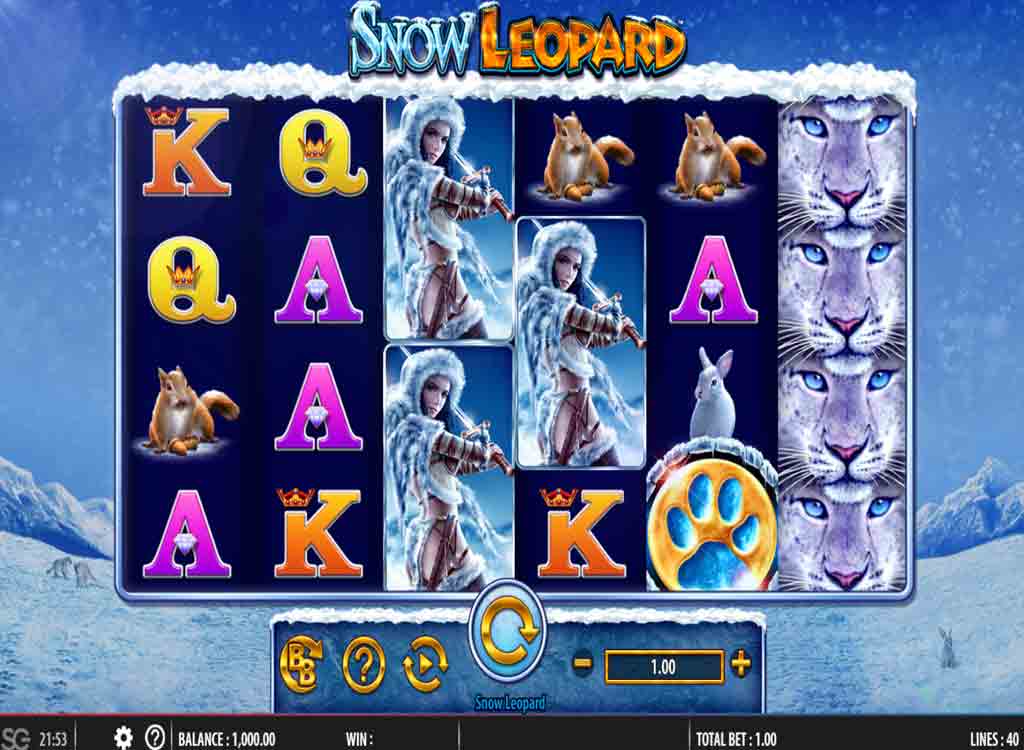 Jouer à Snow Leopard
