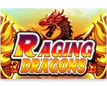 Raging Dragons