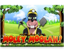 Moley Moolah!