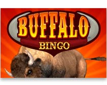 Buffalo Bingo