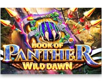 Book of Panther Wild Dawn