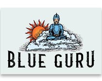 Logiciel Blue Guru Games